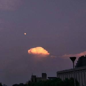 娇妻当我面被奸高潮的故事
